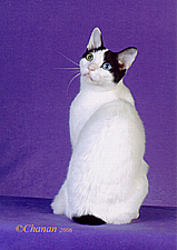 04_benhana junichiro